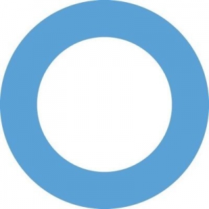 Observador