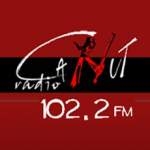 Radio Canut