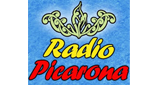 Picarona Panguipulli
