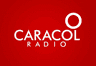 Caracol Radio