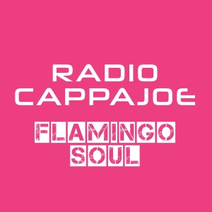 Radio Cappajoe - Flamingo Soul