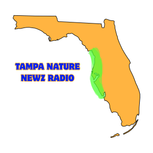 Tampa Nature Newz Radio