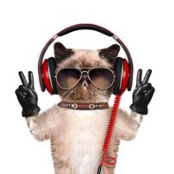 RADIOEX