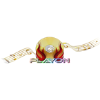 Playon